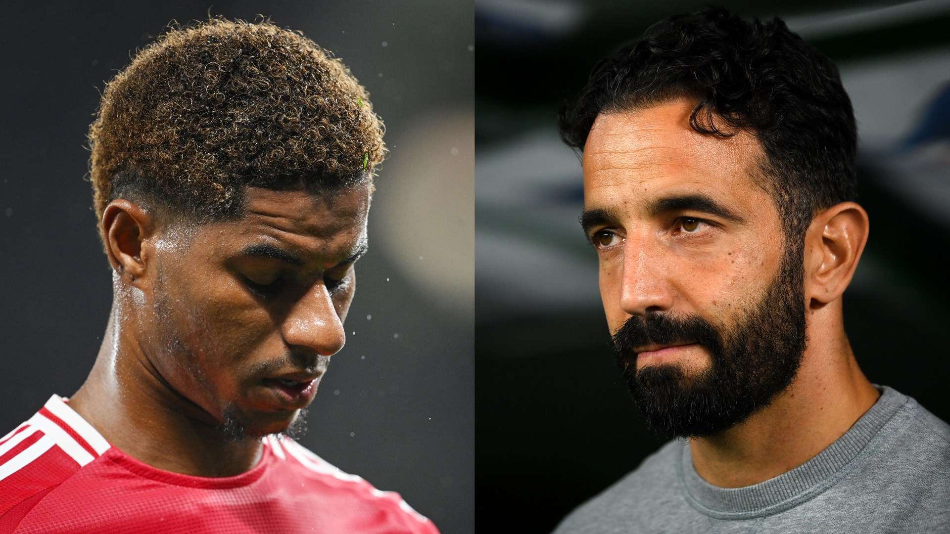 在博洛尼亞 在博洛尼亞