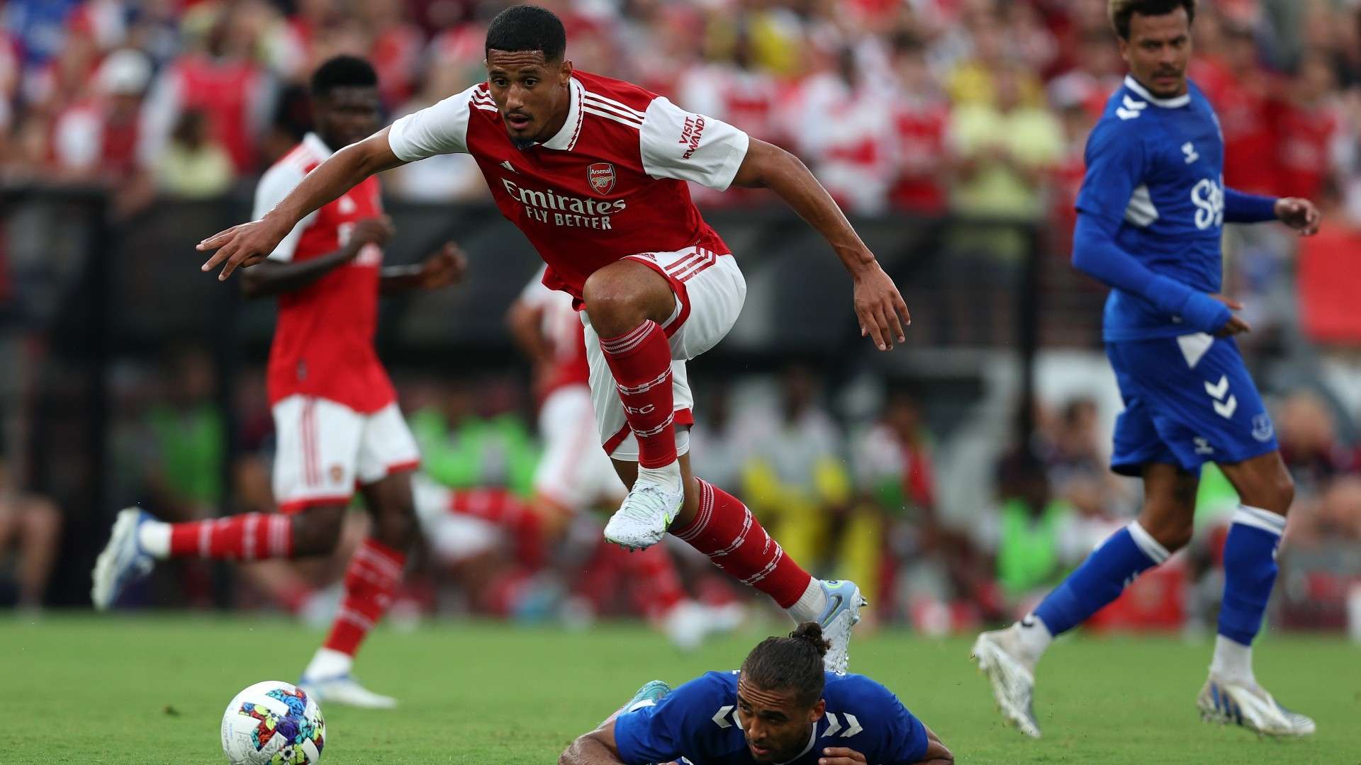 罗那青训营 罗那青训营